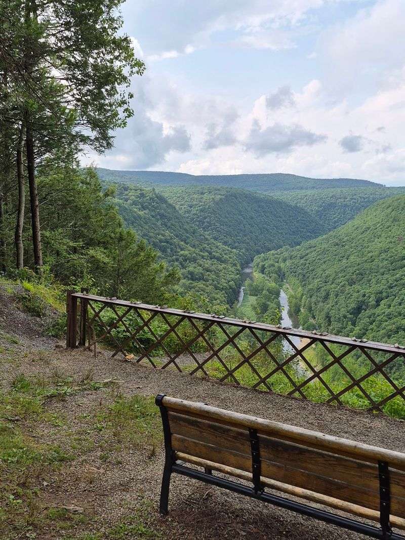 Bradley Wales Picnic Area, Tioga State Forest