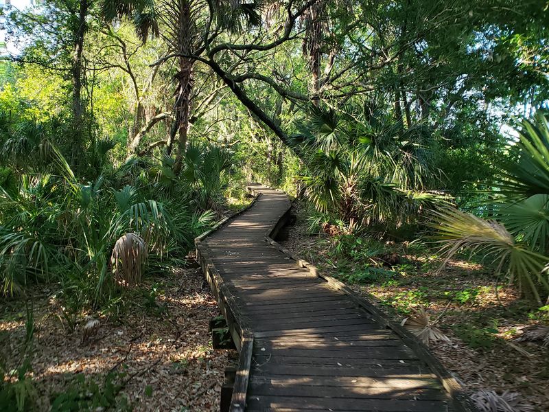 Al Lopez Park Trail: Finish Under the Trees
