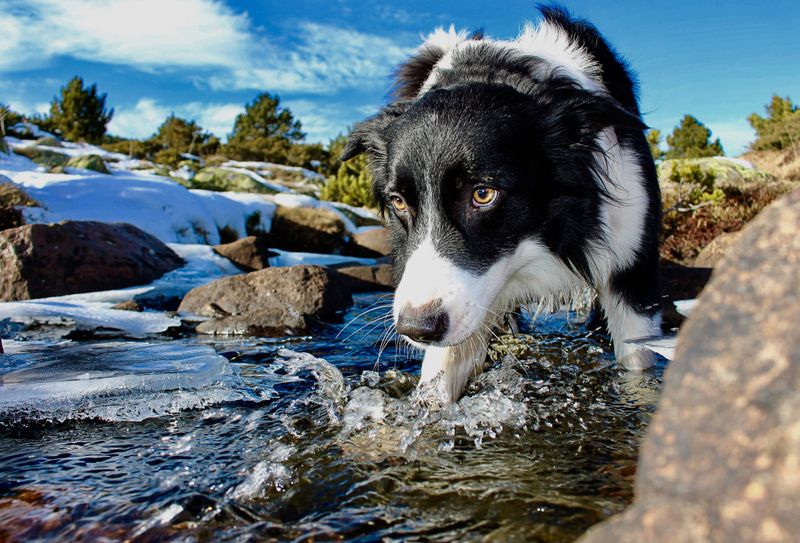 Chilly Water Drains Energy