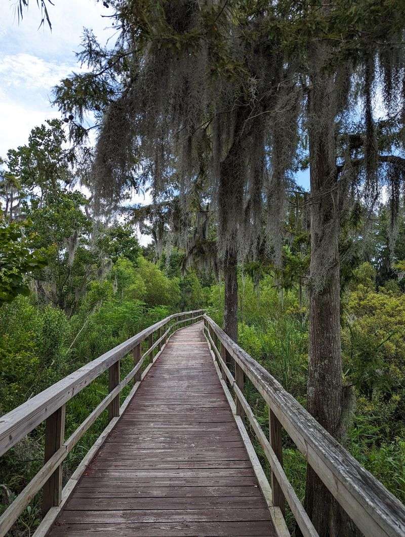 Lafitte Barataria Wetland Trace, Lafitte Area