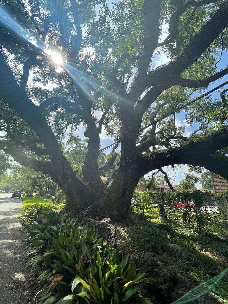 Old Dauphin Way: Pick Your Own Little Loop