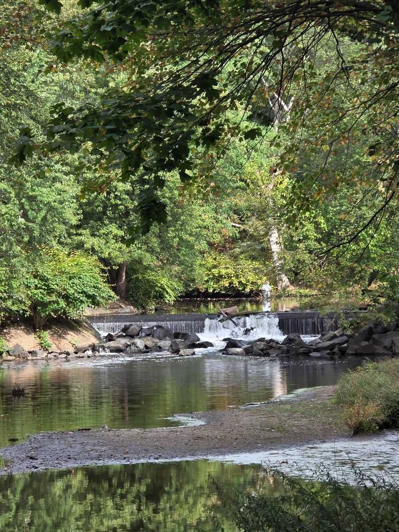 Saddle River County Park: Follow the River Between Neighborhoods