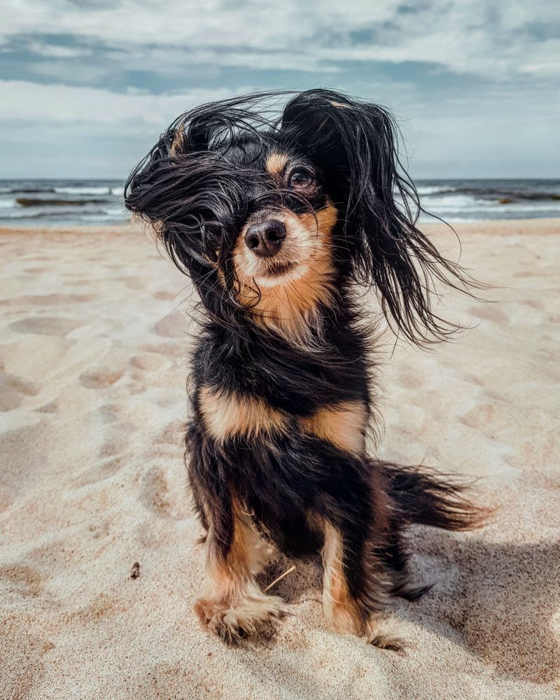 Leaning Into Panhandle Wind