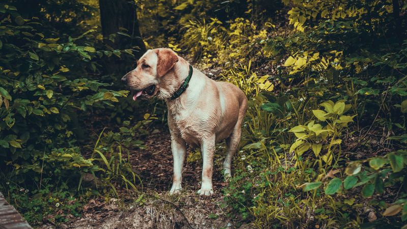 Are You Ready for Tiny Pests?