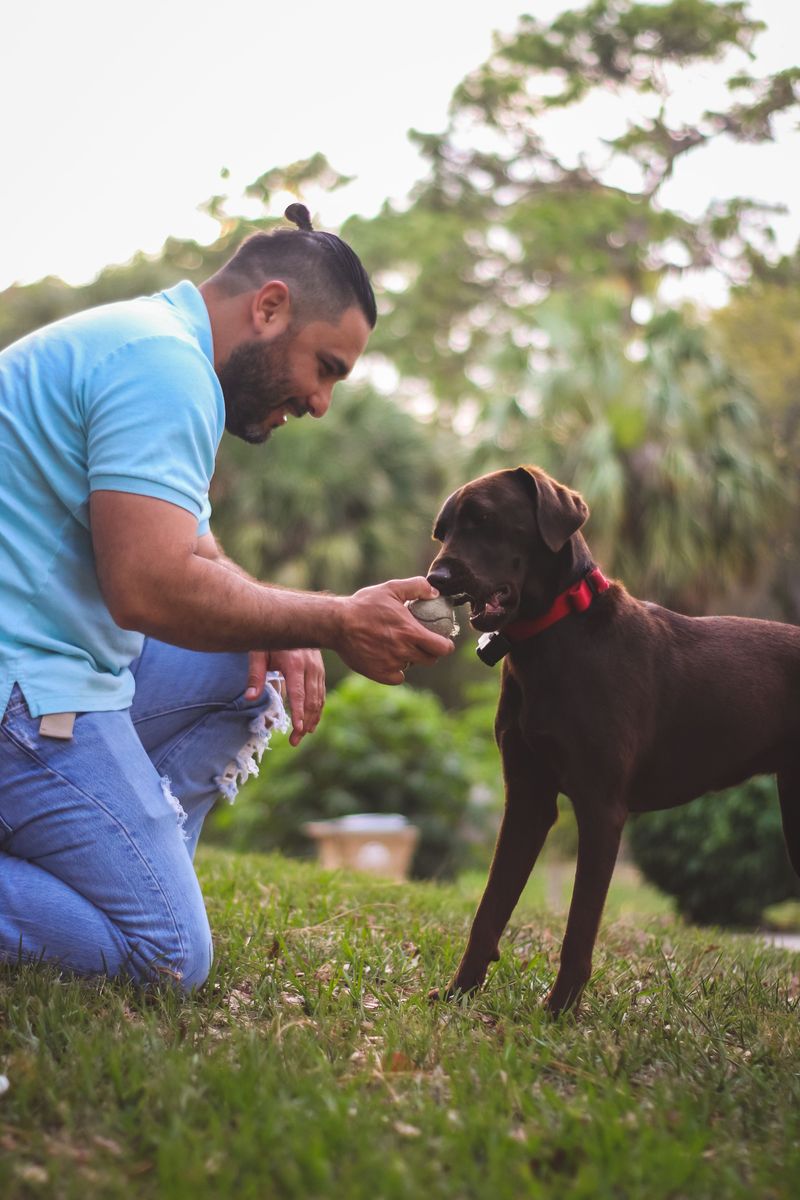 Boarding and Pet Sitting During Travel