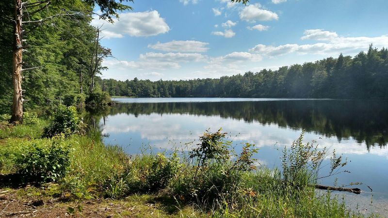 Sones Pond Picnic Area, Loyalsock State Forest