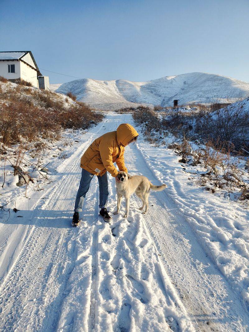 Snow Can Return When the Forecast Looks Mild