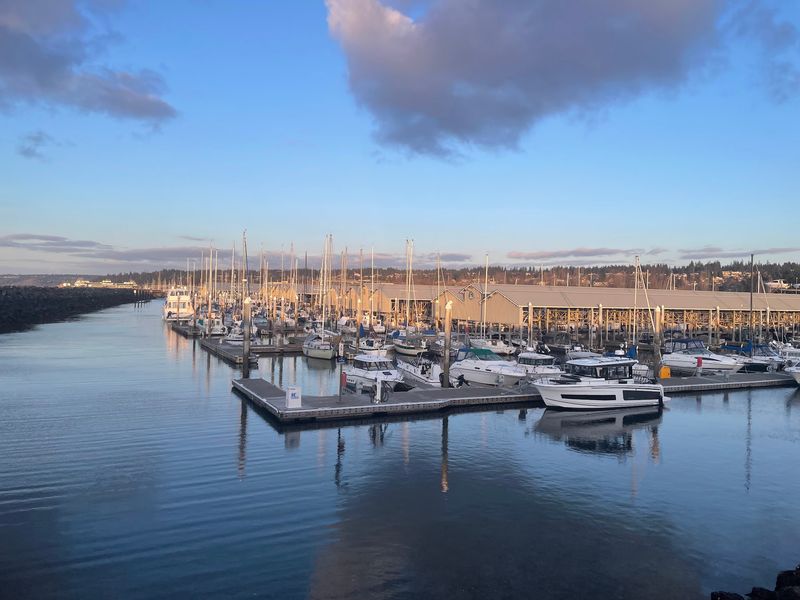 Edmonds Marine Walkway: Seaside Art Without Sandy Paws