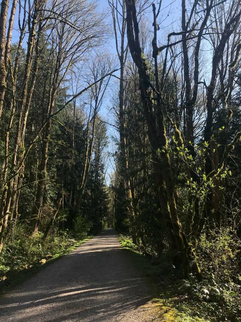 Bellingham Interurban Trail: Check the Surface Before Rolling
