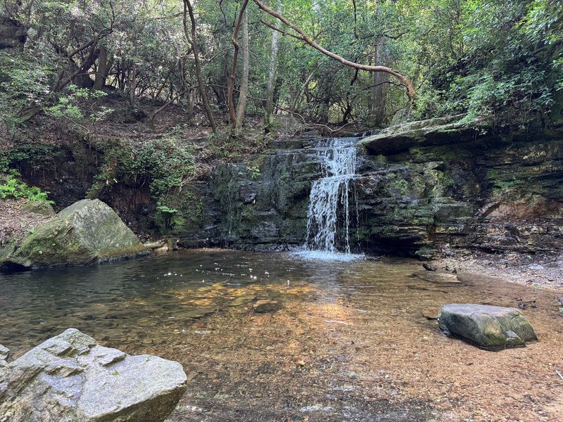 Cascade Falls via Pine Mountain Trail: Finish With Forest Calm