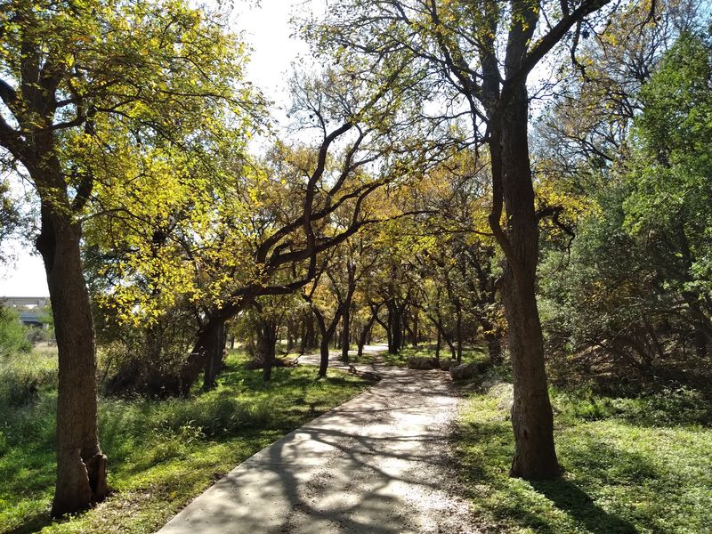 Let Leon Creek Set a Slower Pace