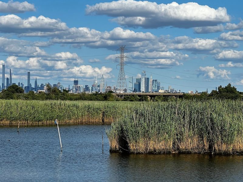 Richard W. DeKorte Park: Let the Wetlands Steal the Show