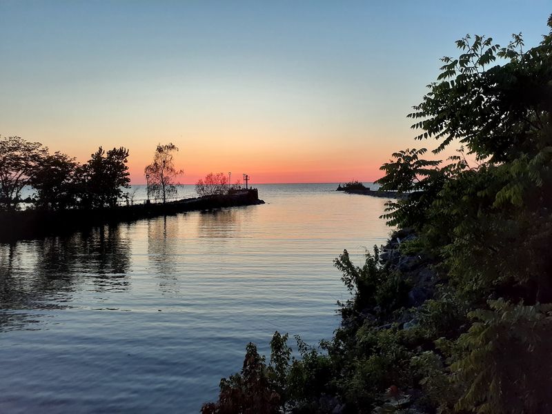 Wildwood Park: Watch the Waterfront at Work