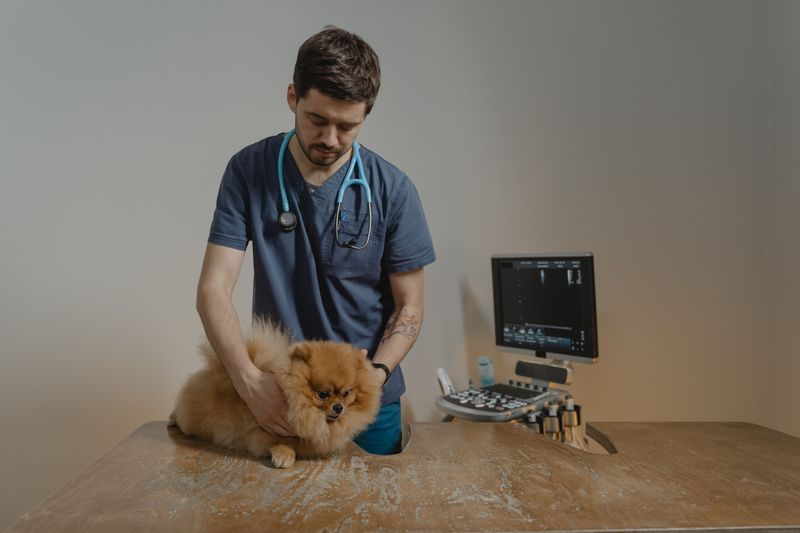 Skin Changes That May Need Veterinary Attention
