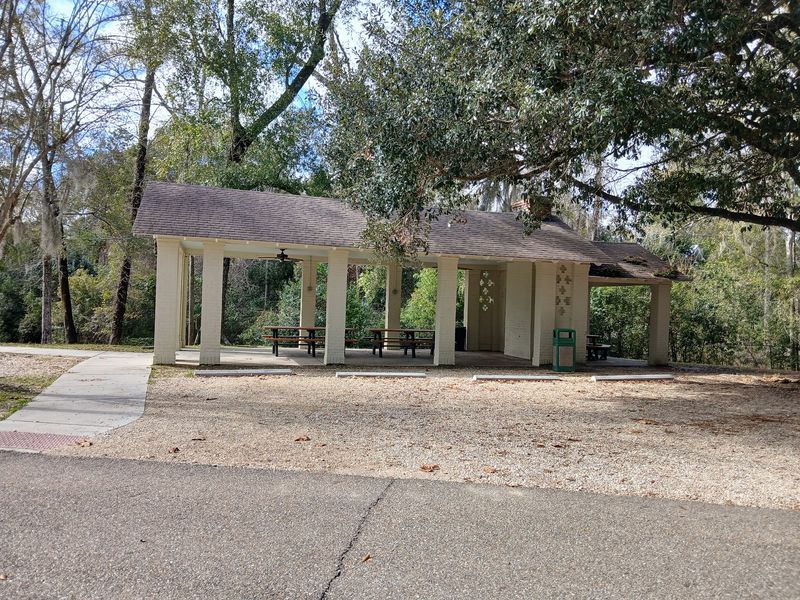 Bogue Falaya Park, Covington