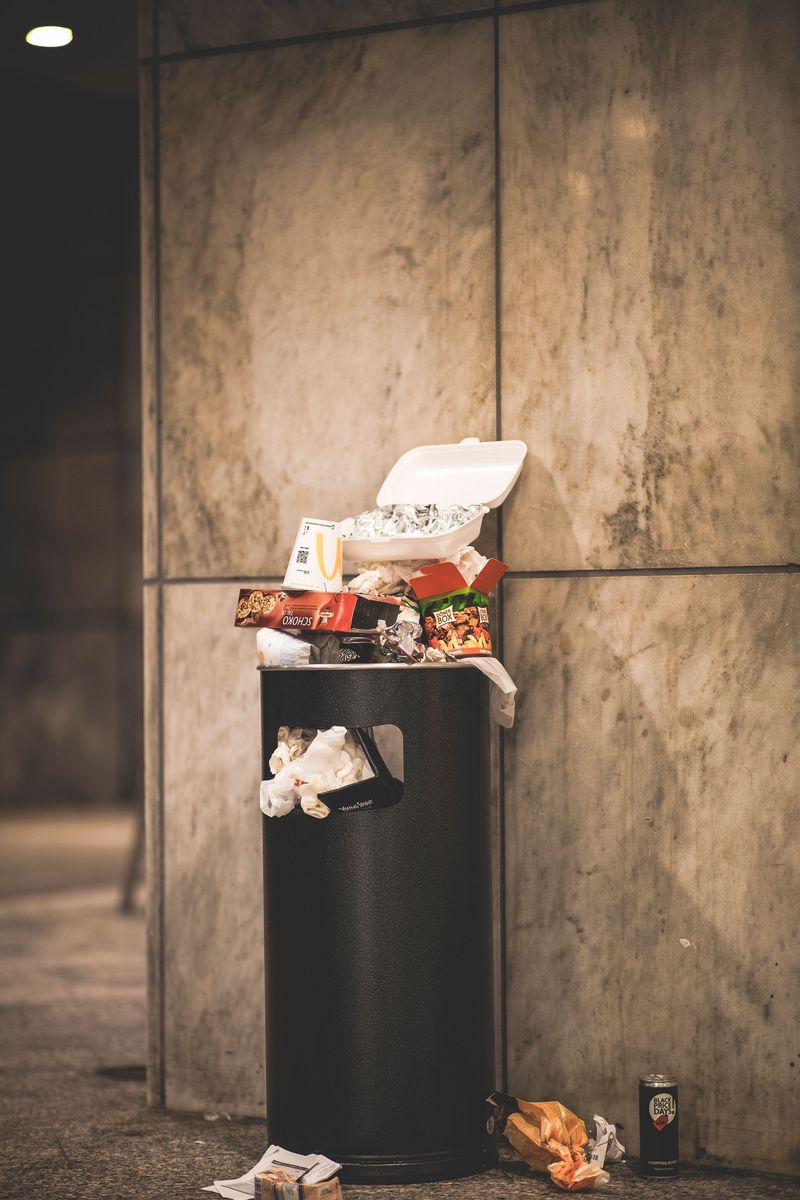 Leftover Bones And Food Scraps