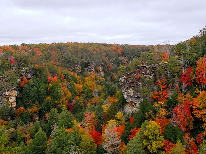 Millikan’s Overlook: Room to Pause Above the Gulf