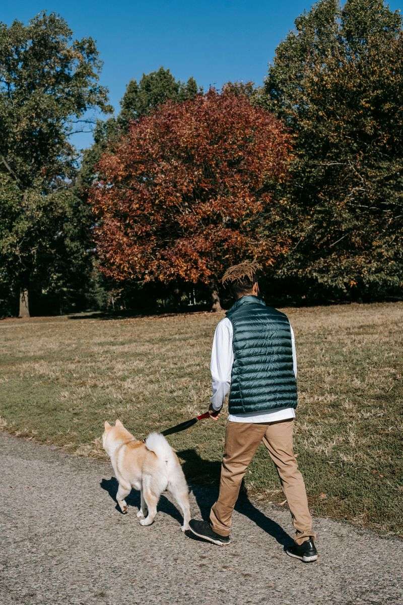 Virginia State Parks Have Specific Pet Rules