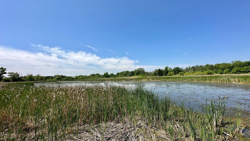 Prairie Wolf Forest Preserve, Highland Park