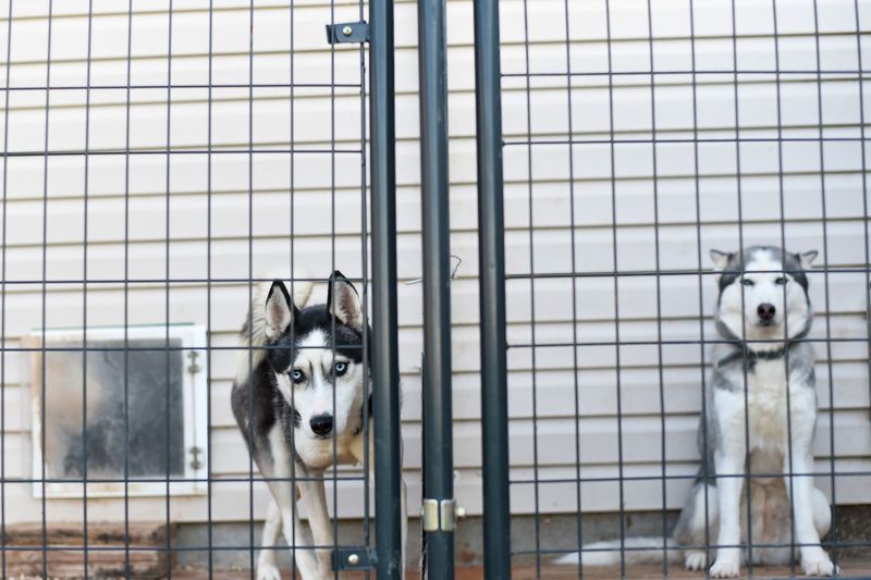 Make Sure Air Conditioning Can Keep Running