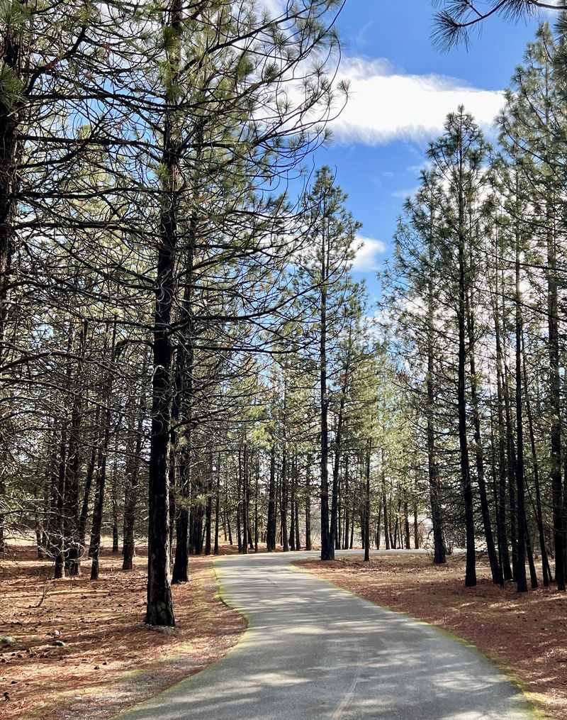 Spokane River Centennial Trail: Pick Your Riverfront Chapter