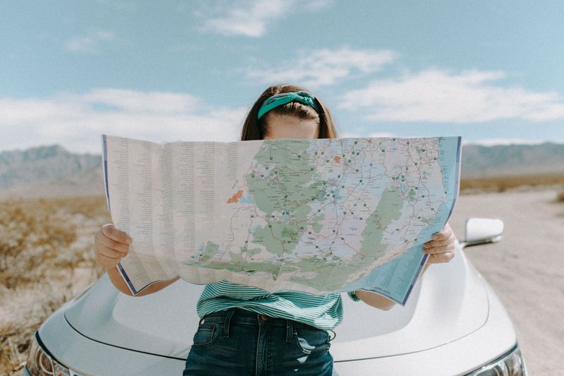 Offline Maps and Emergency Vet Contacts