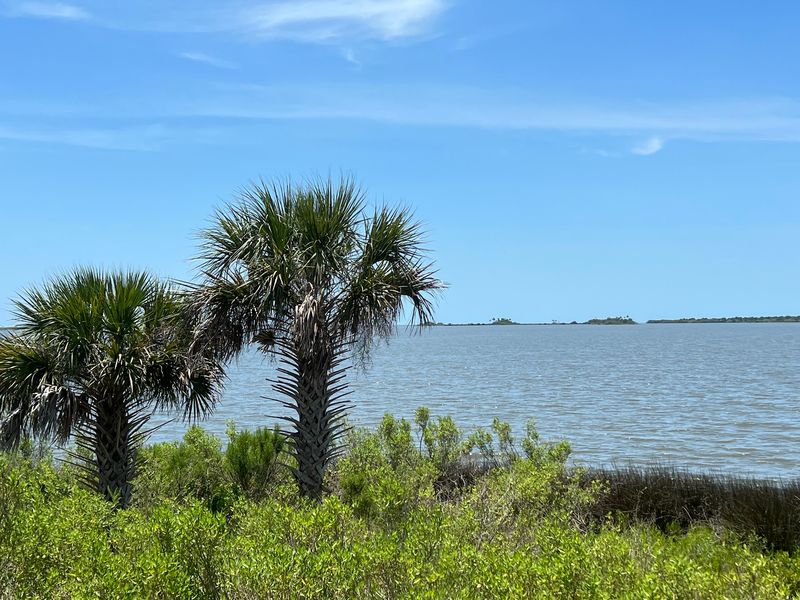 Withlacoochee Bay Trail: Canal Views and Coastal Breezes