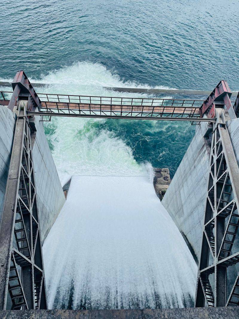 Keep Dogs Away From Spillways and Outlets