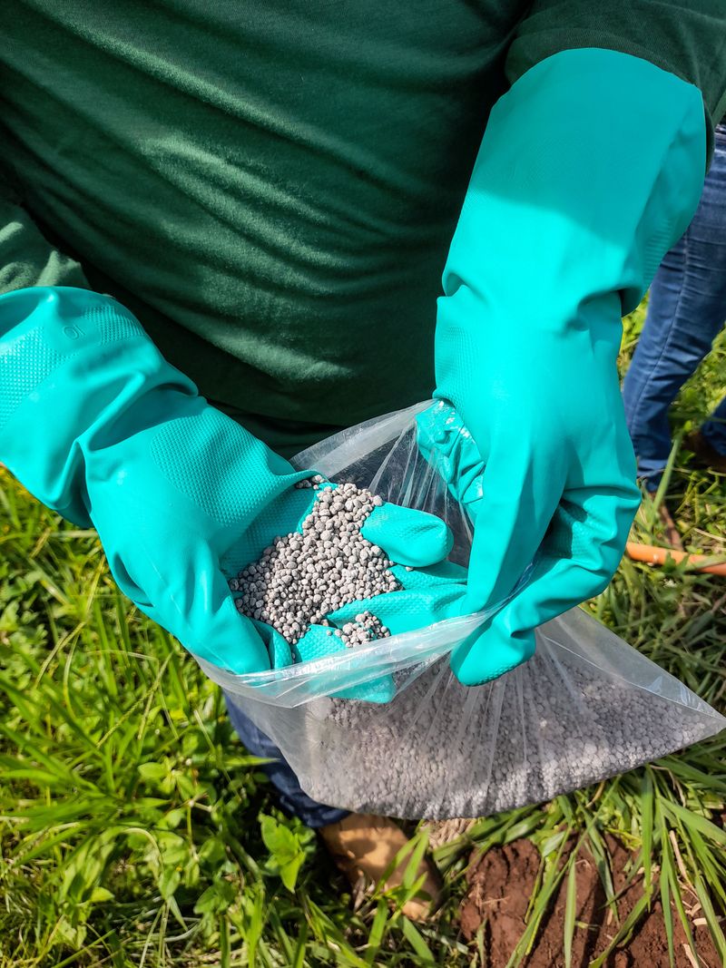 Watch For Fertilizer Granules And Residue