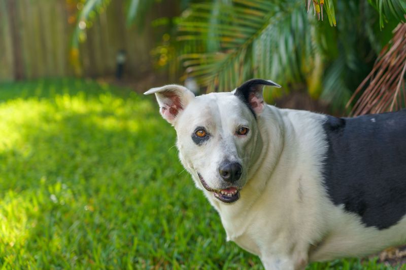 Watch Out for Florida's Heat and Humidity