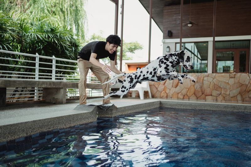 Practice Pool Skills in Santa Rosa