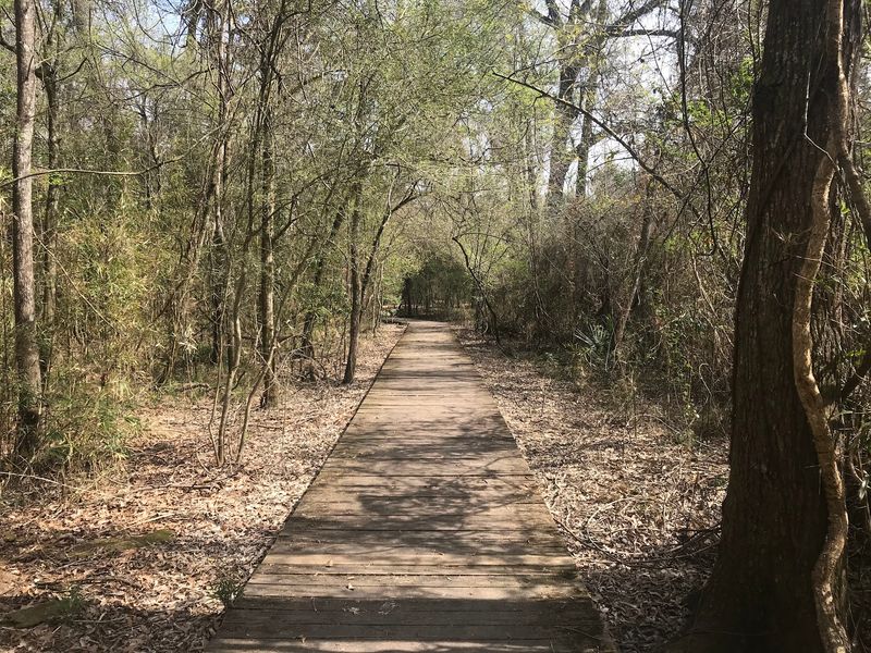 Tickfaw State Park, Springfield