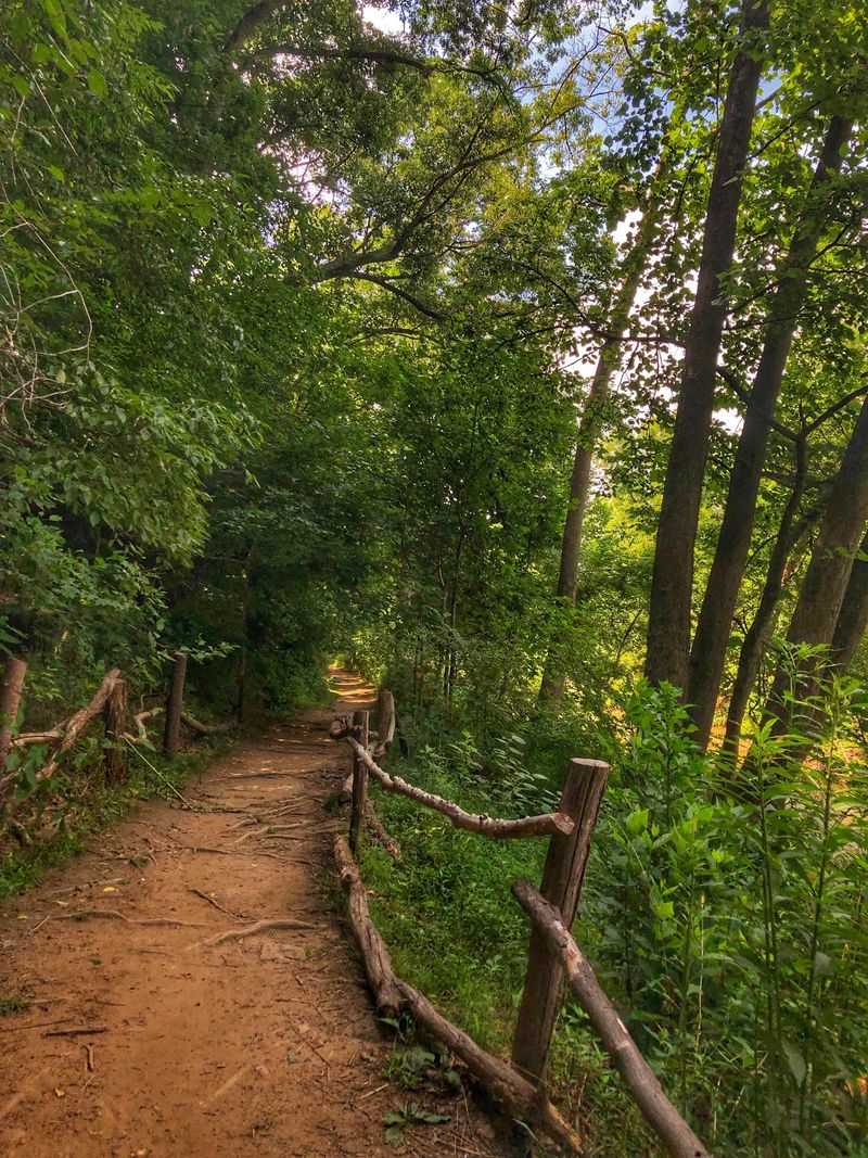 Hominy Creek Greenway, Asheville: Slow Down for the Small Stuff