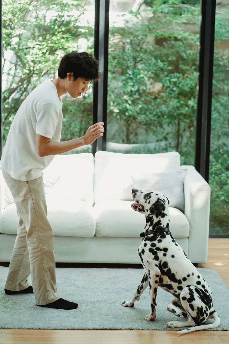 Five-Minute Obedience Refreshers