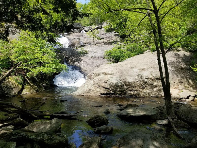 Cunningham Falls State Park Campground, Houck Area, Thurmont