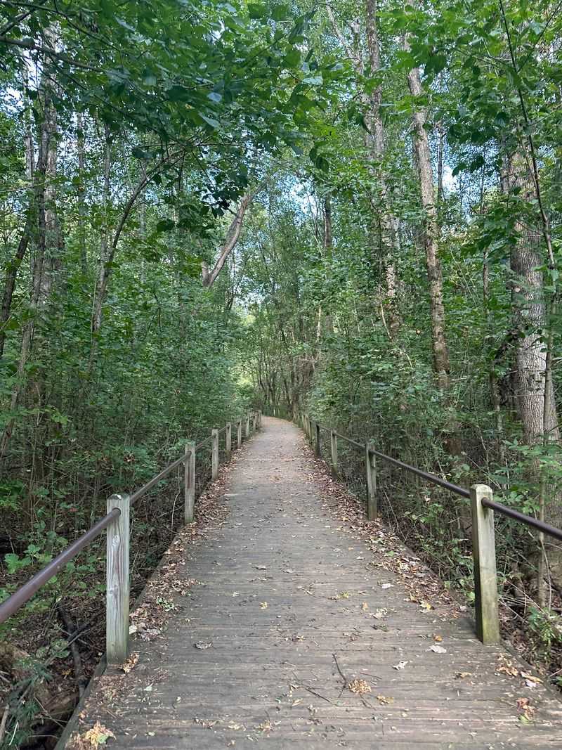 Heritage Park, Mableton: Follow Nickajack Creek