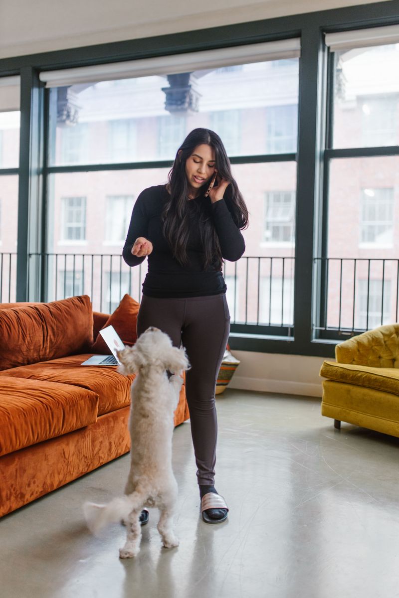 Will Pet Rent Raise Your Monthly Bill?
