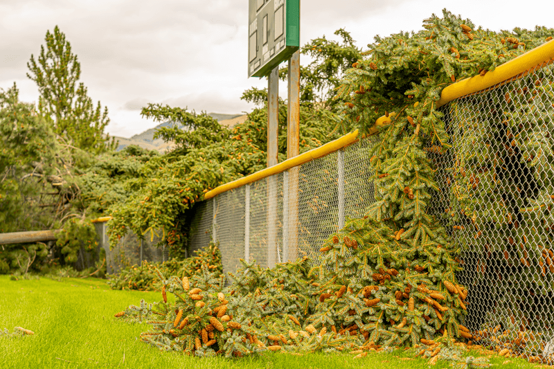 Check Gates After Fallen Branches or Debris