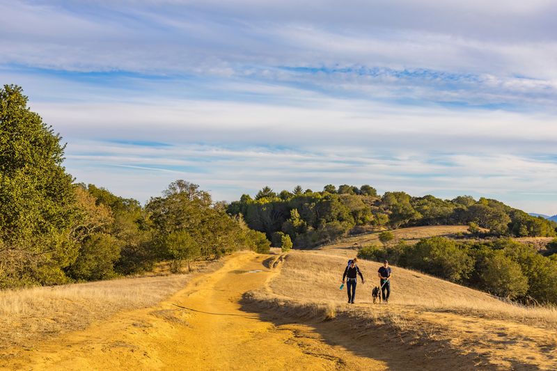 Choose Shoreline Access Points Carefully