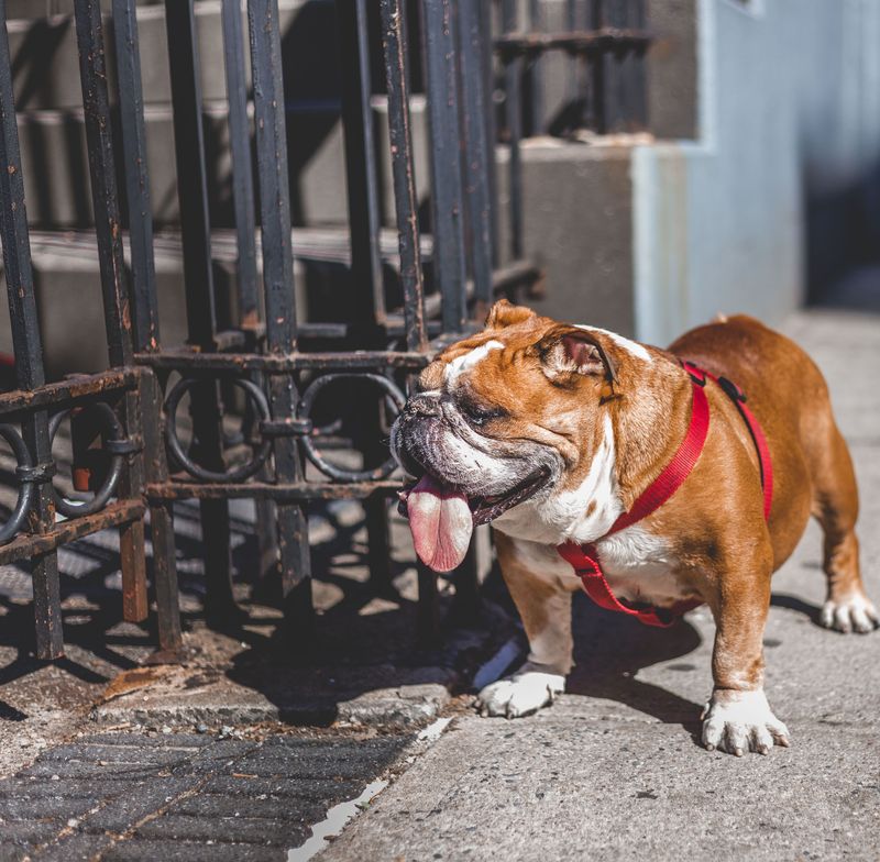 Recognize Which City Sounds Cause Stress