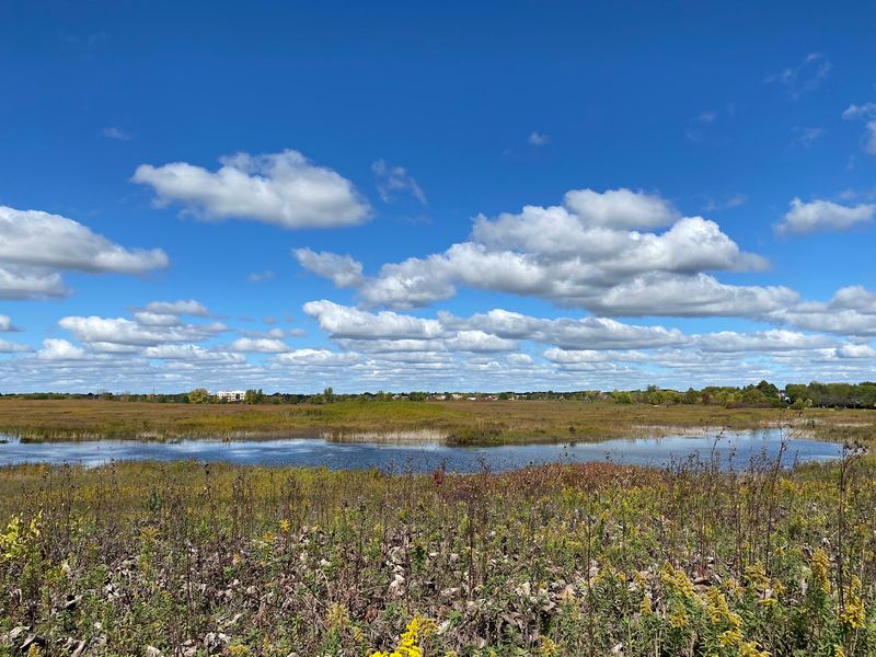 Springbrook Prairie Forest Preserve, Naperville