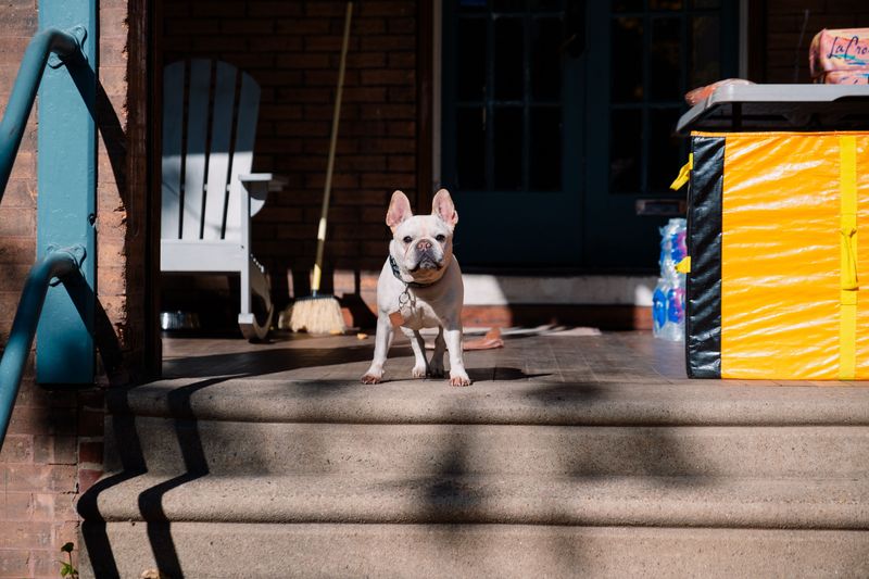 Porch Sweeping Becomes a Daily Habit