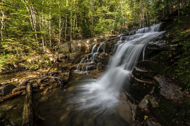 Falling Waters Trail: A Downhill Discovery