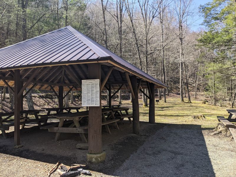 Rock Springs Picnic Area, Bald Eagle State Forest