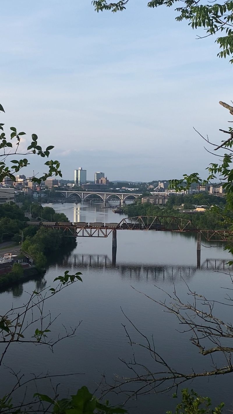 River Bluff Wildlife Area: A Wilder City View
