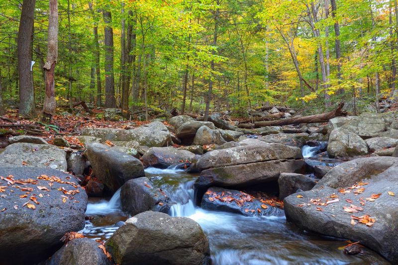 Hacklebarney State Park: Follow the Black River