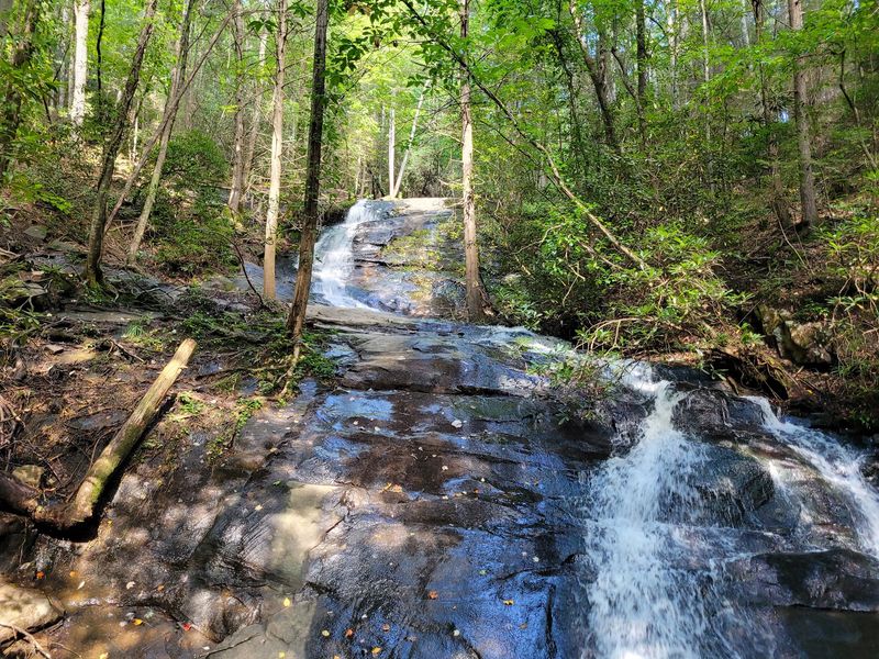 Fall Branch Falls Trail: A Quick Climb Near Cherry Log