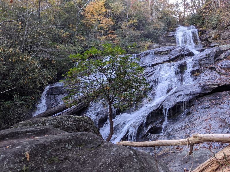 Holcomb Creek and Ammons Falls: A Forest Loop Near Dillard