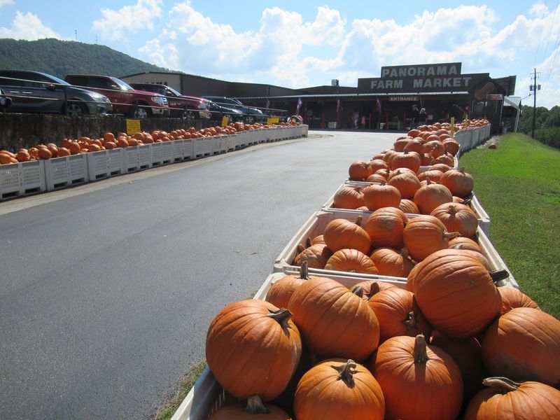 Panorama Farm Market: Verify Outdoor Access