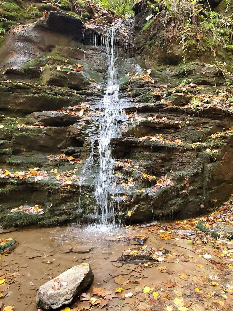 Becky Branch and Martin Creek Falls: Pick Your Distance